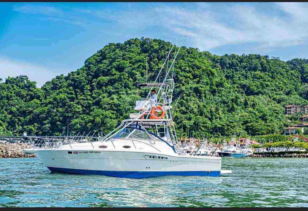 los suenos fishing charter boats